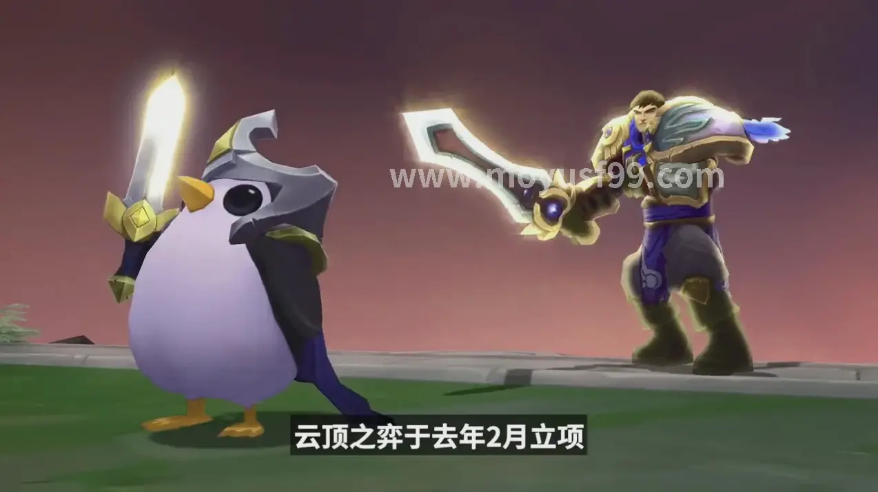 选择与避坑