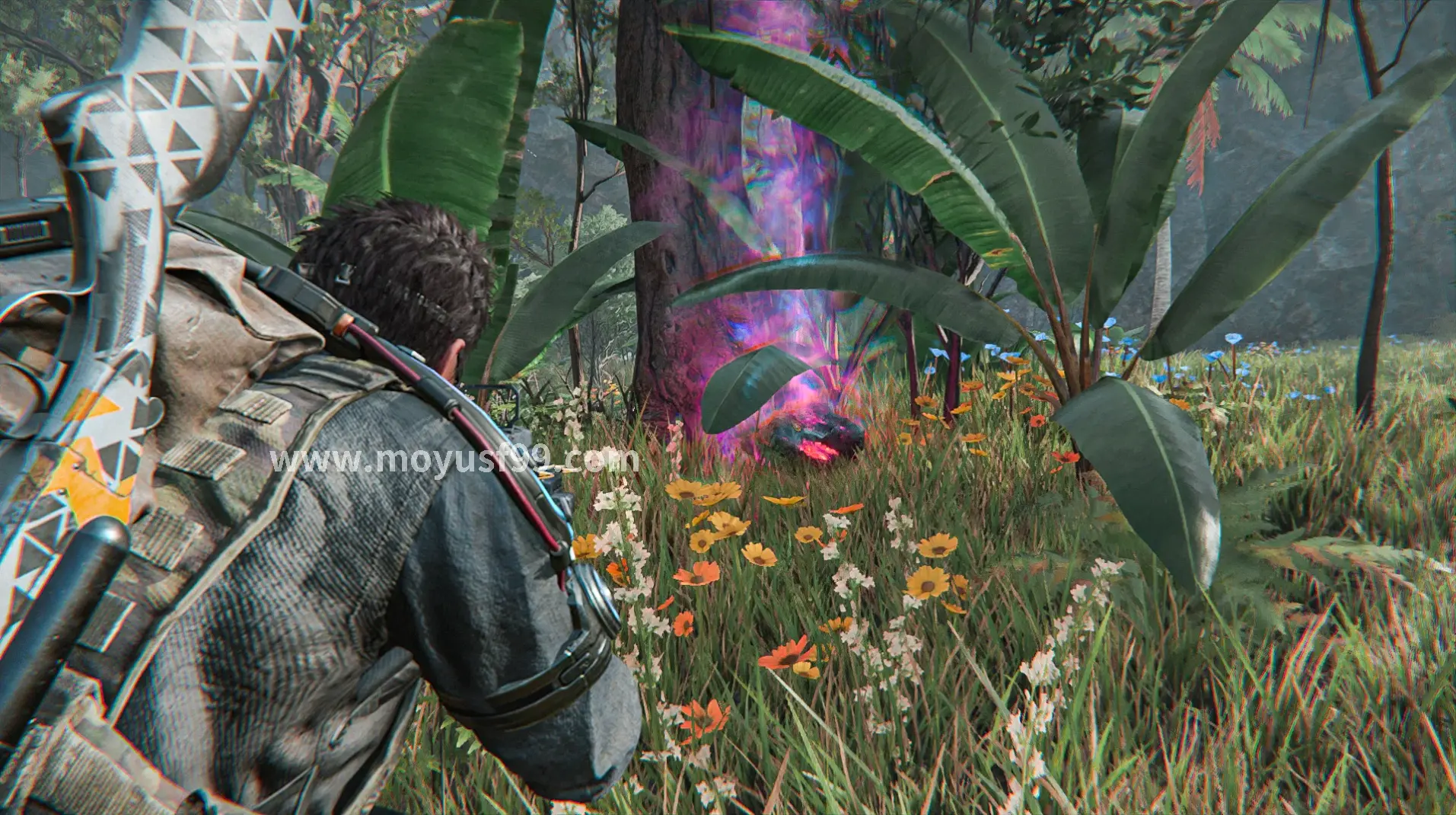 PVP