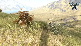 《魔域》老炮儿的真心话：2024年你还在玩，究竟图个啥？